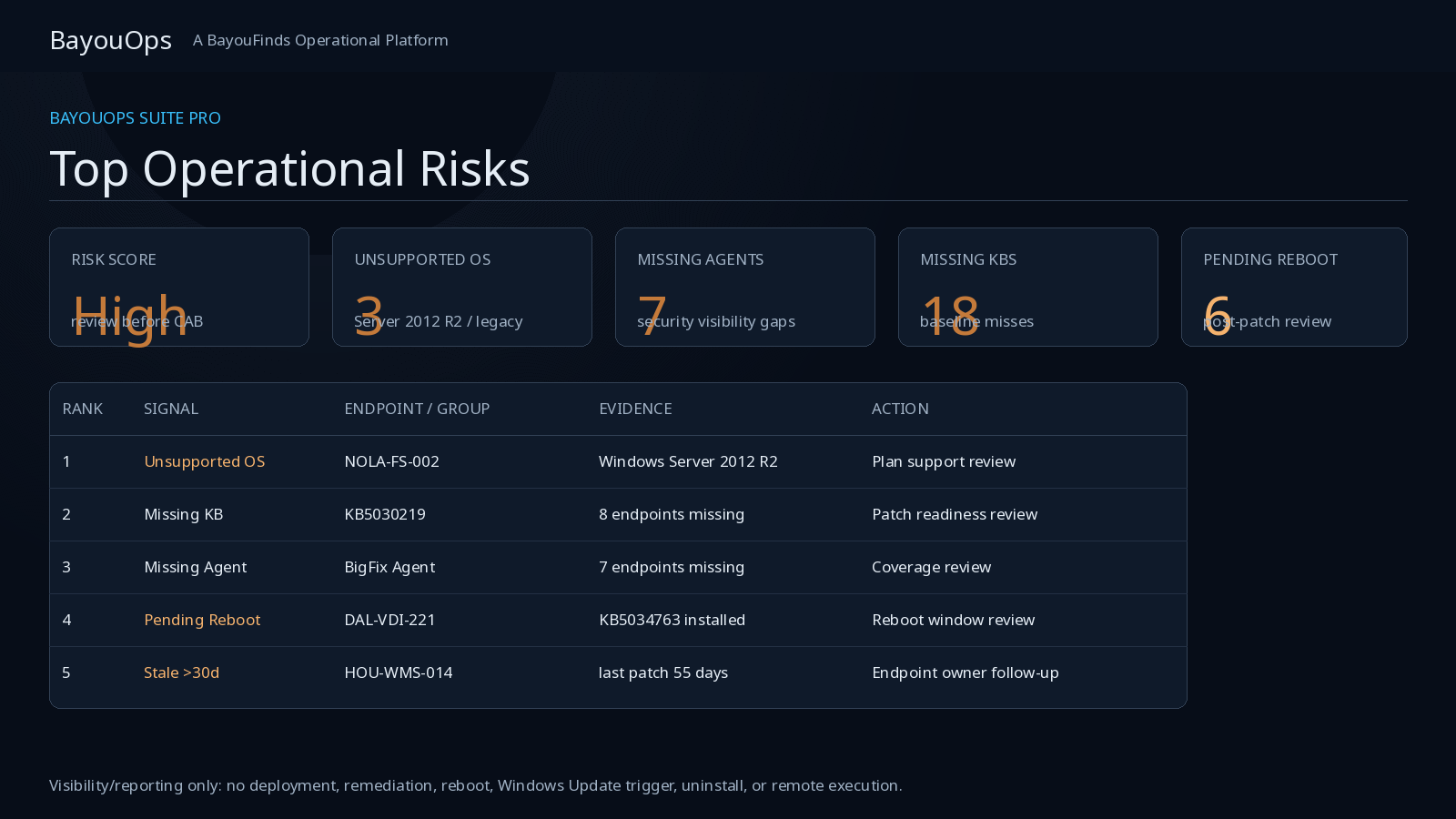 Top operational risks panel